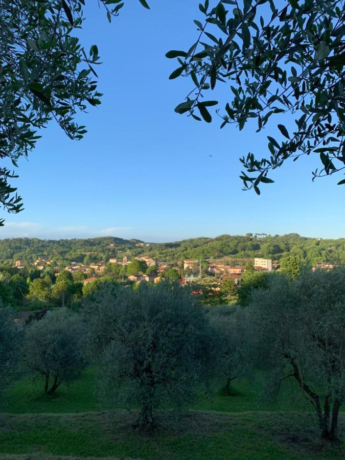 Marziani Rustic Tuscan House Capannori Exterior photo