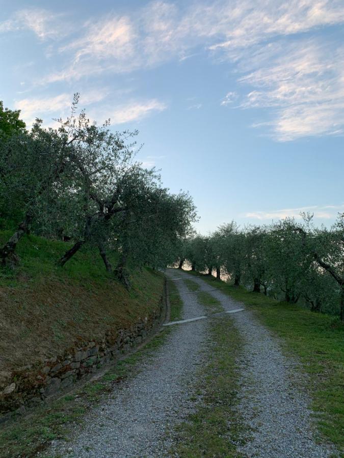 Marziani Rustic Tuscan House Capannori Exterior photo