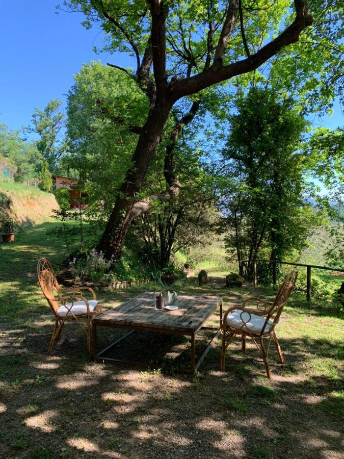 Marziani Rustic Tuscan House Capannori Exterior photo